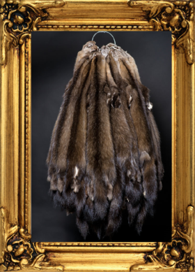 СОБОЛЬ, ШКУРКИ СОБОЛЯ, СОБОЛЬ ШКУРКИ,соболь ЕКАТЕРИНБУРГ, соболь шкурки ЕКАТЕРИНБУРГ,